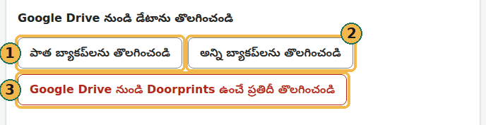తొలగింపు స్థాయిలు: పాత బ్యాకప్లను తొలగించండి (1), అన్ని బ్యాకప్లను తొలగించండి (2) మరియు Google Drive నుండి Doorprints ఉంచే ప్రతిదీ తొలగించండి (3)